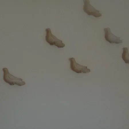 Bird Fly *